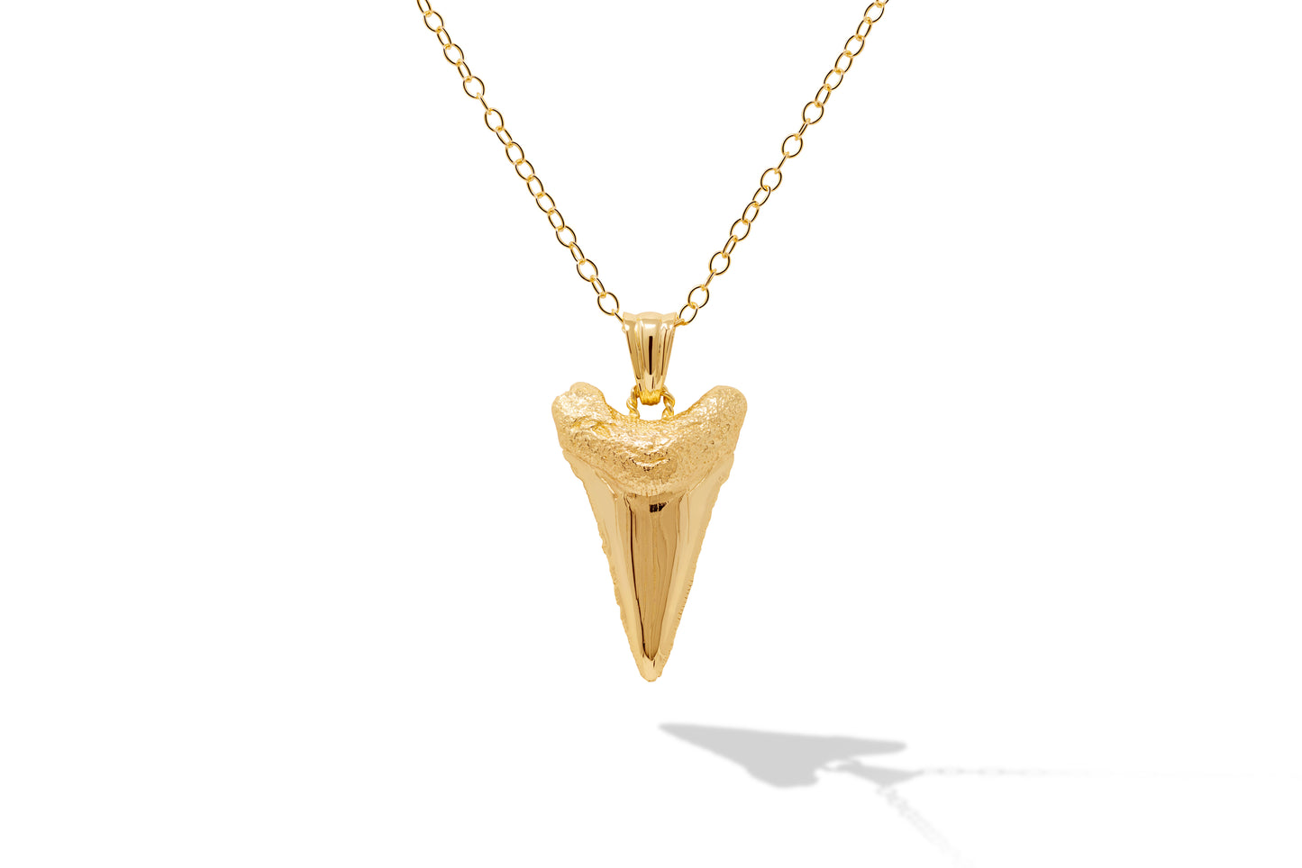 Sharks Tooth Pendant