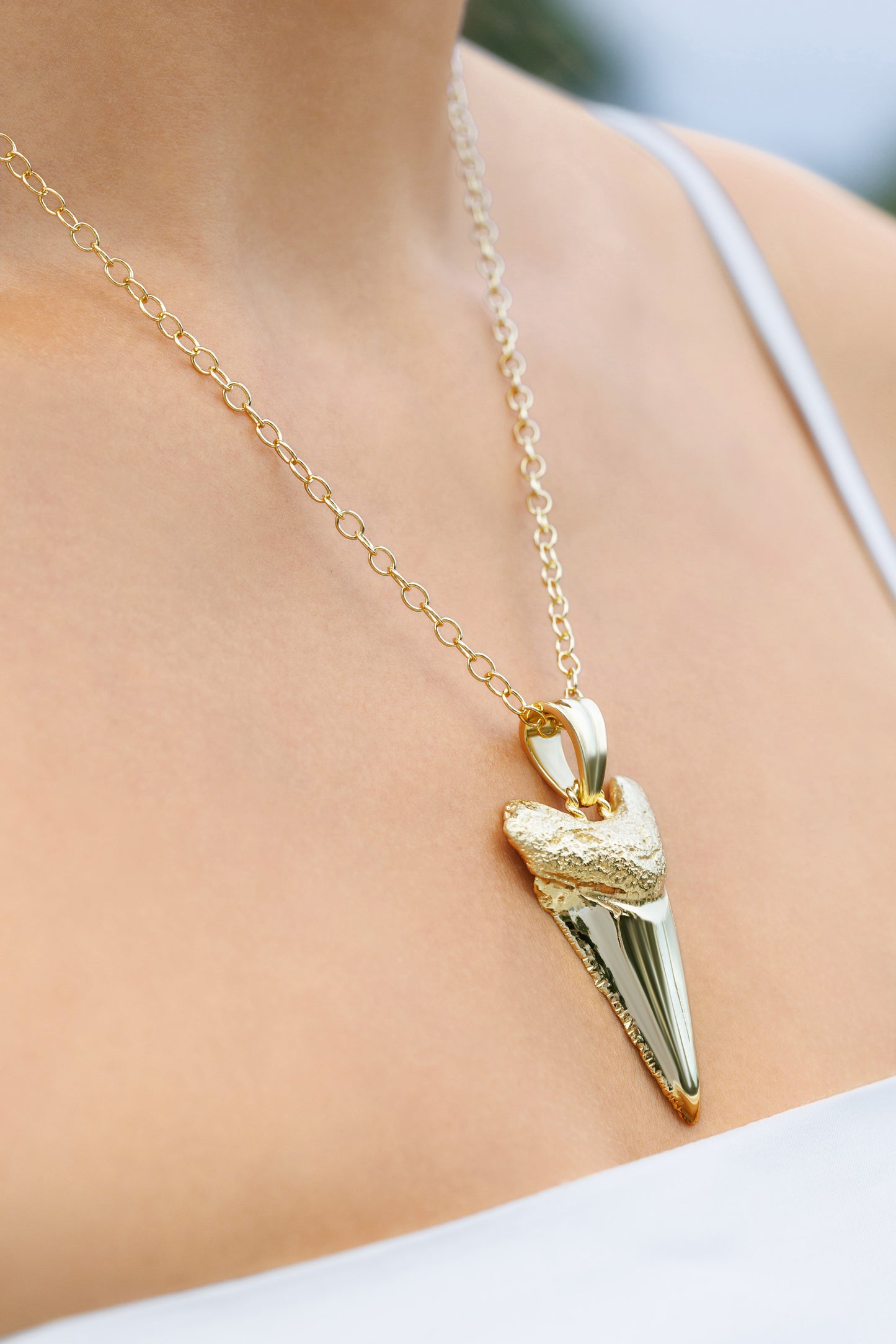 Sharks Tooth Pendant