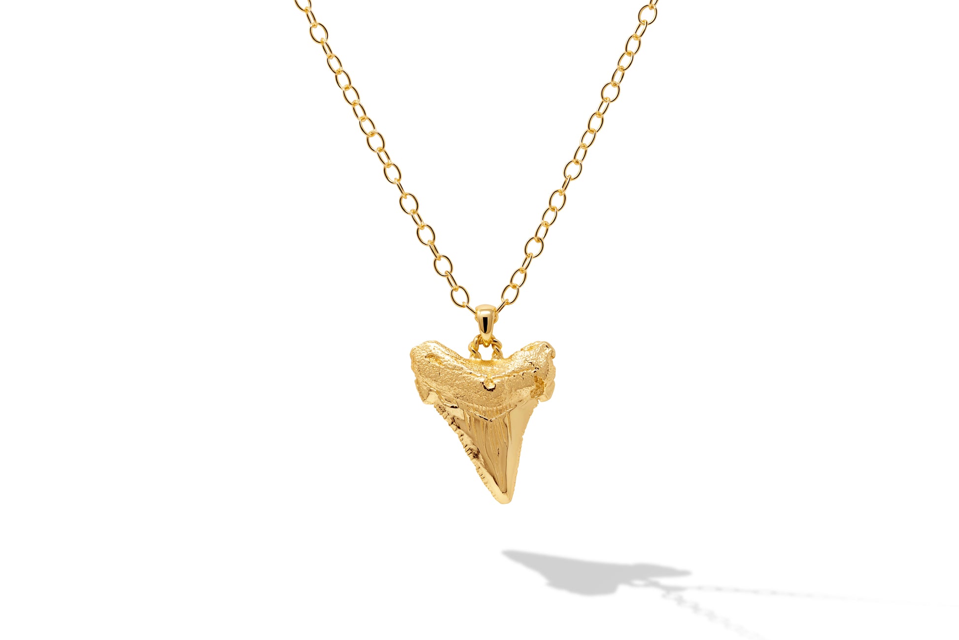 Sharks Tooth Pendant