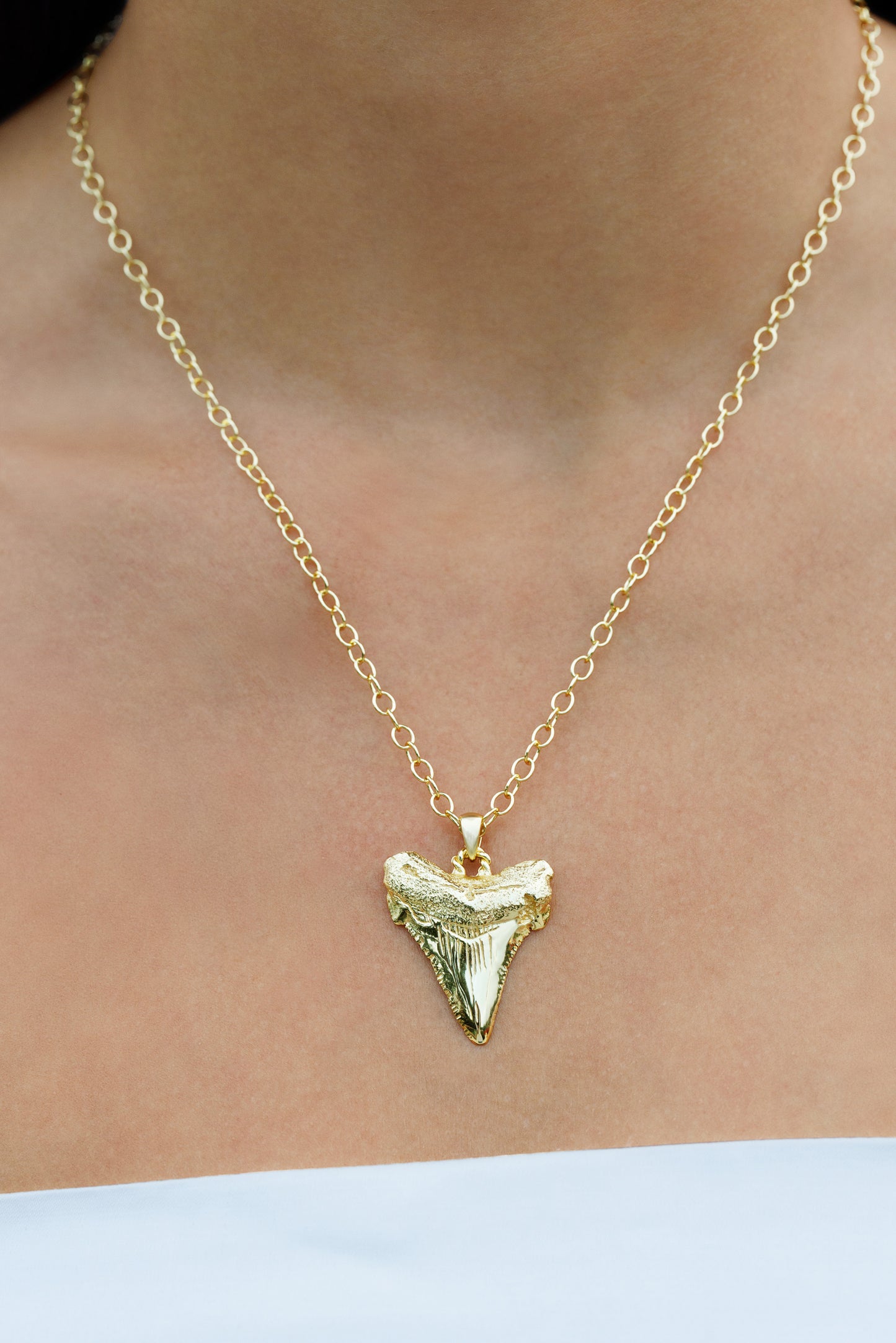 Sharks Tooth Pendant