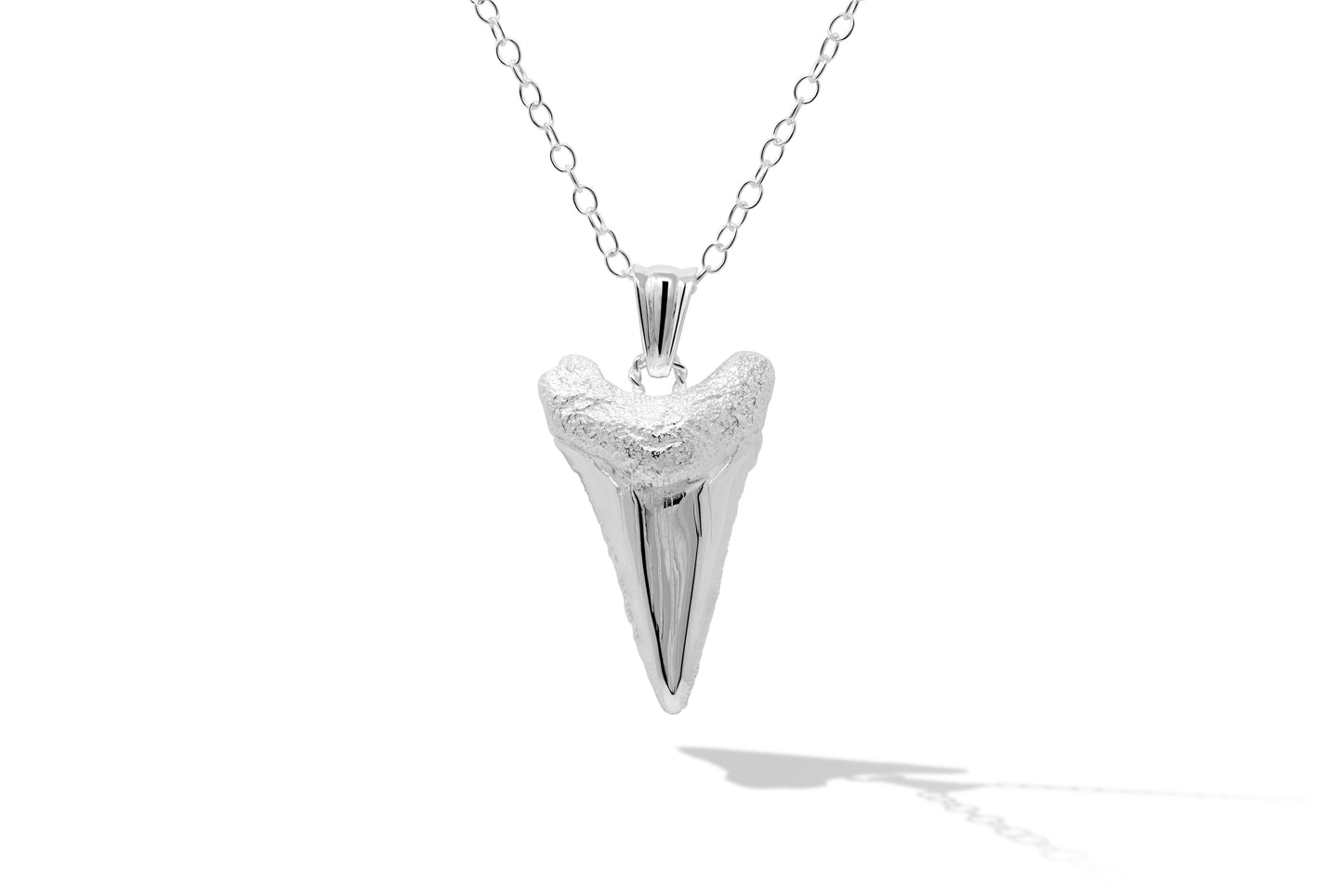 Sharks Tooth Pendant