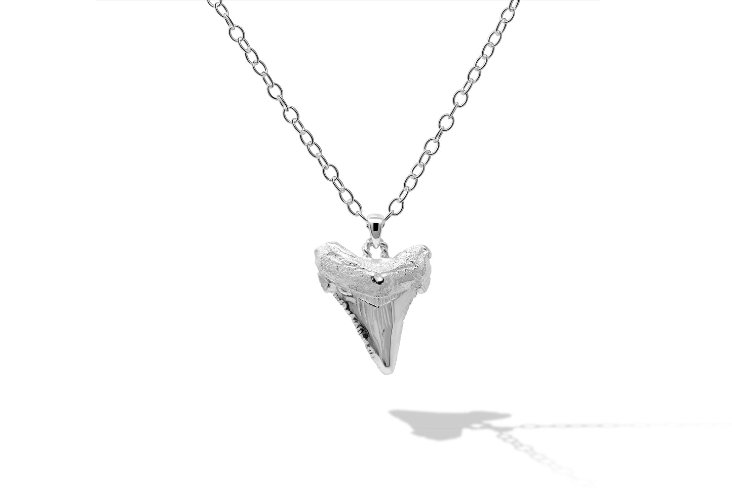 Sharks Tooth Pendant