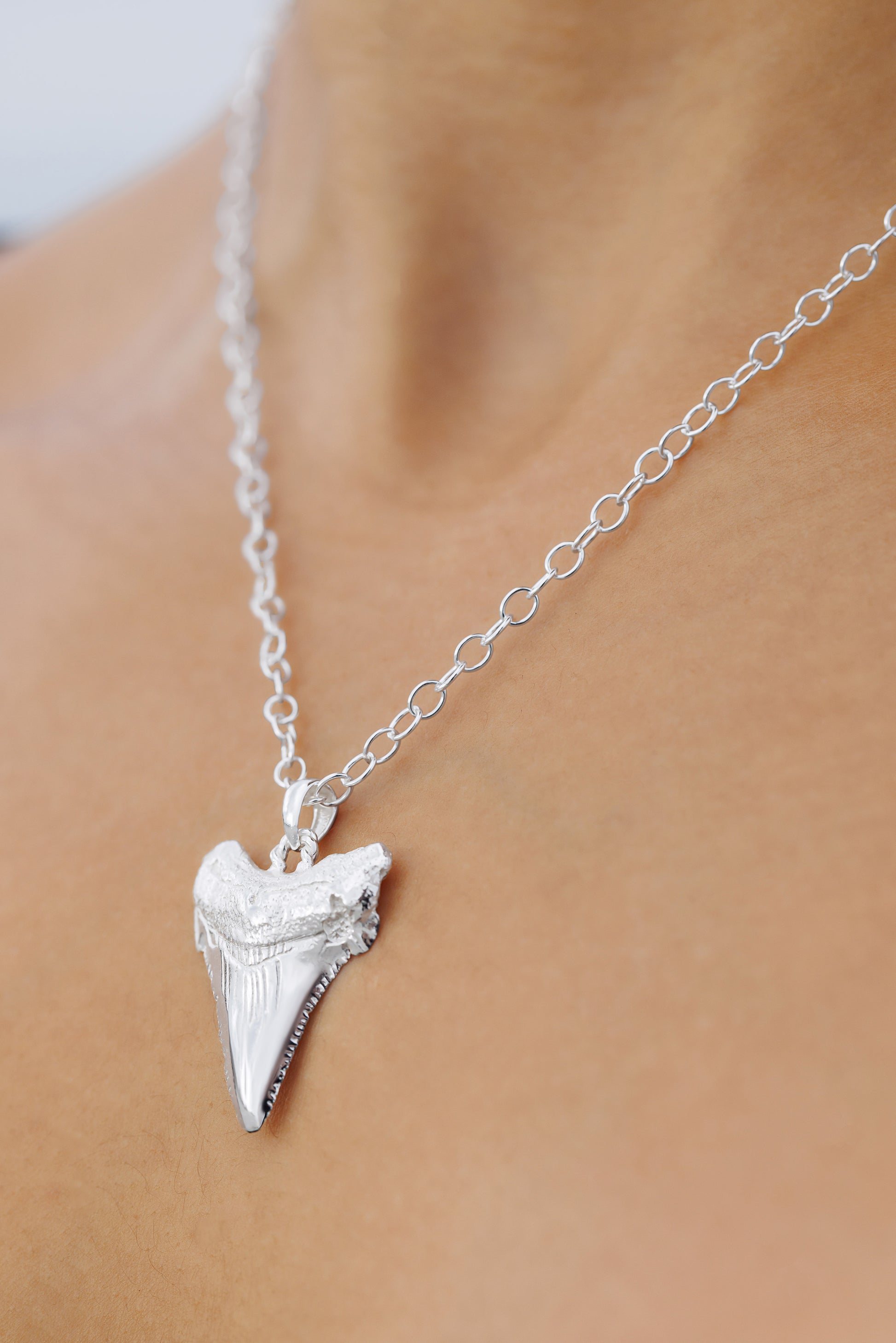 Sharks Tooth Pendant