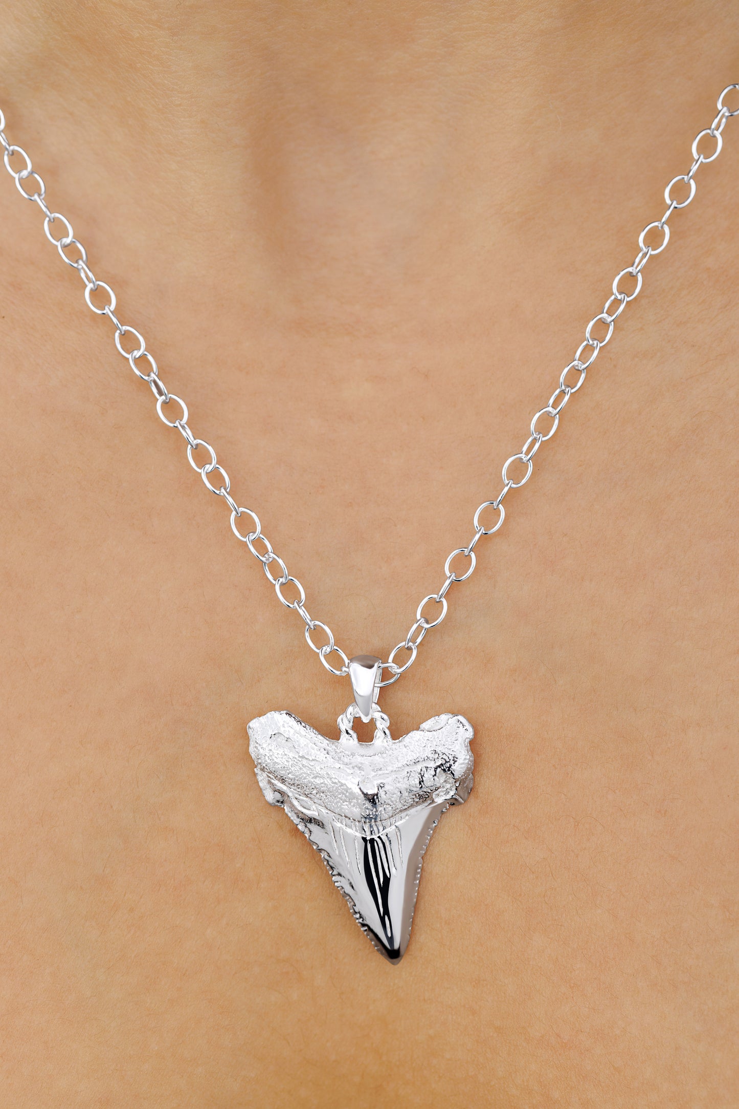 Sharks Tooth Pendant