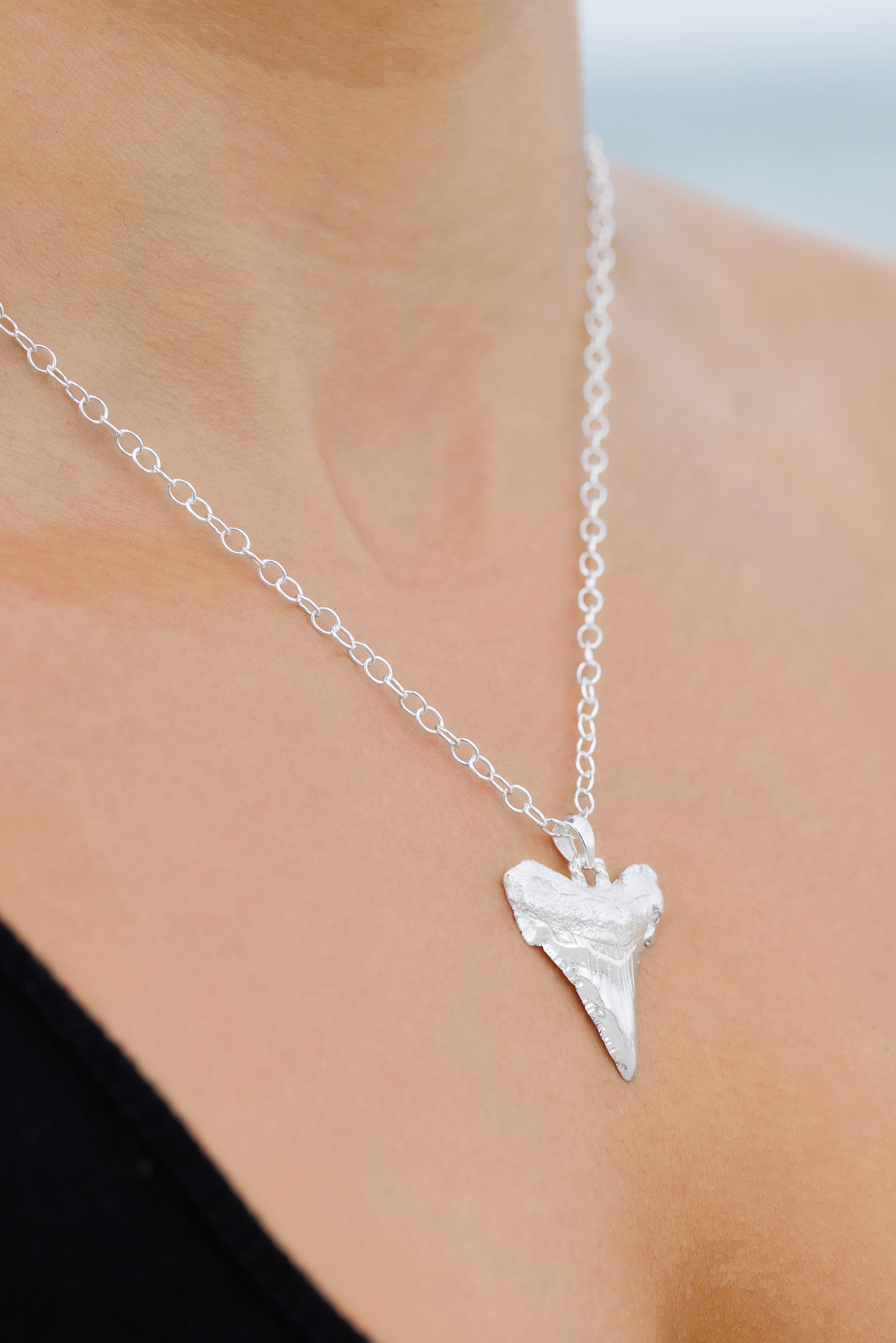 Sharks Tooth Pendant