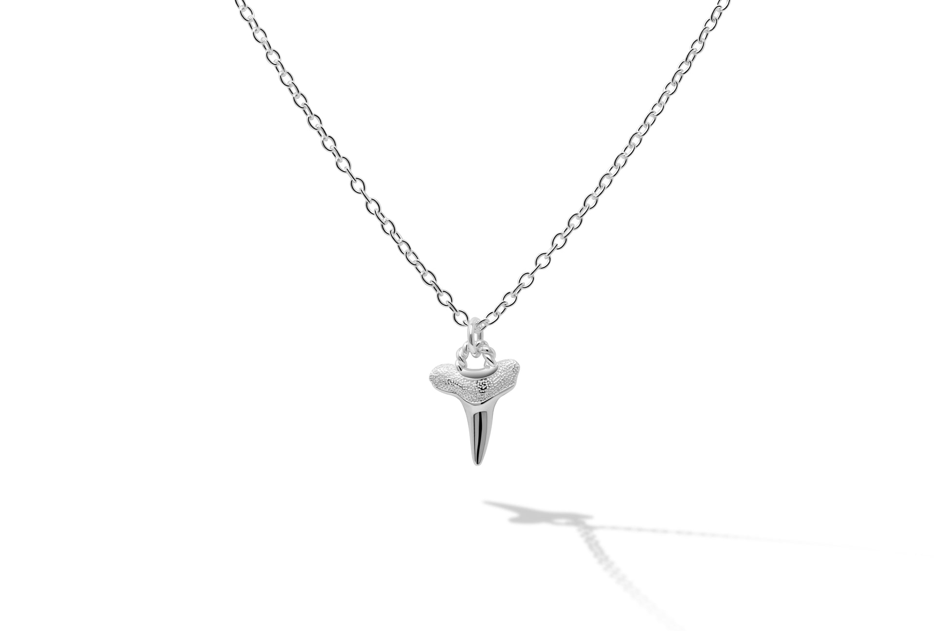 Sharks Tooth Pendant
