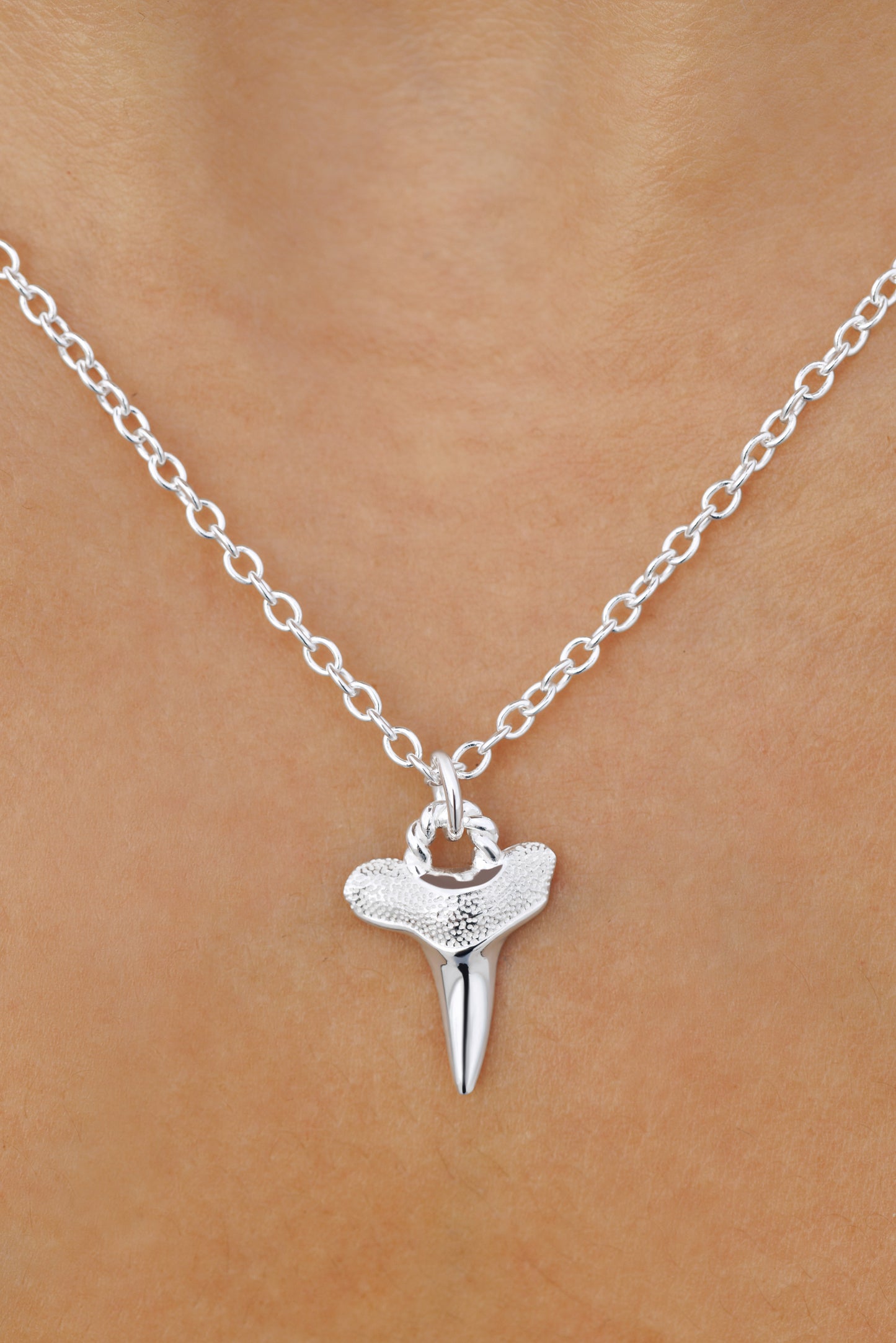 Sharks Tooth Pendant