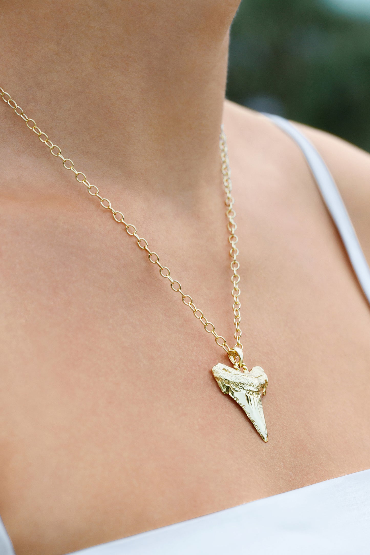 Sharks Tooth Pendant